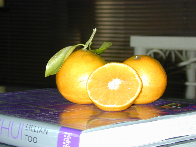 naranjas - Foto por Yin Zhi Shakya