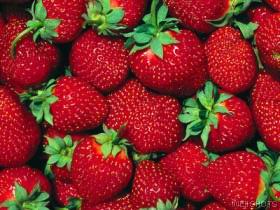 fresas