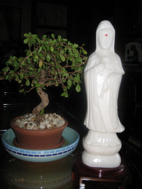 Foto por Yin Zhi Shakya - Kwan Yin - jade blanco