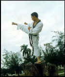 Henry Binerfa Castellanos