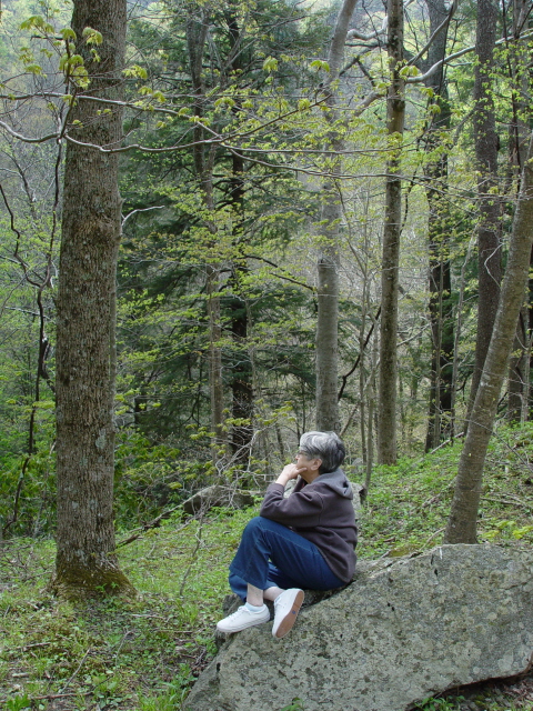 Foto por Yin Zhi Shakya -  Great Smoky Mountains National Park en Tennessee