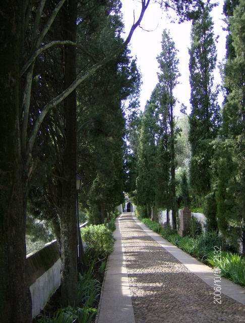 El corredor de cipreses apuntando al cielo que  conecta la puerta de entrada  con mi amigo el Padre Julio... conecta con la entrada a la Capilla y residencia de monjes carmelitas descalzos y salas donde estn los aperos de labranza, biblioteca, etc., as como lugares de descanso, todo ello en medio de un silencio y orden secular y casi mstico.